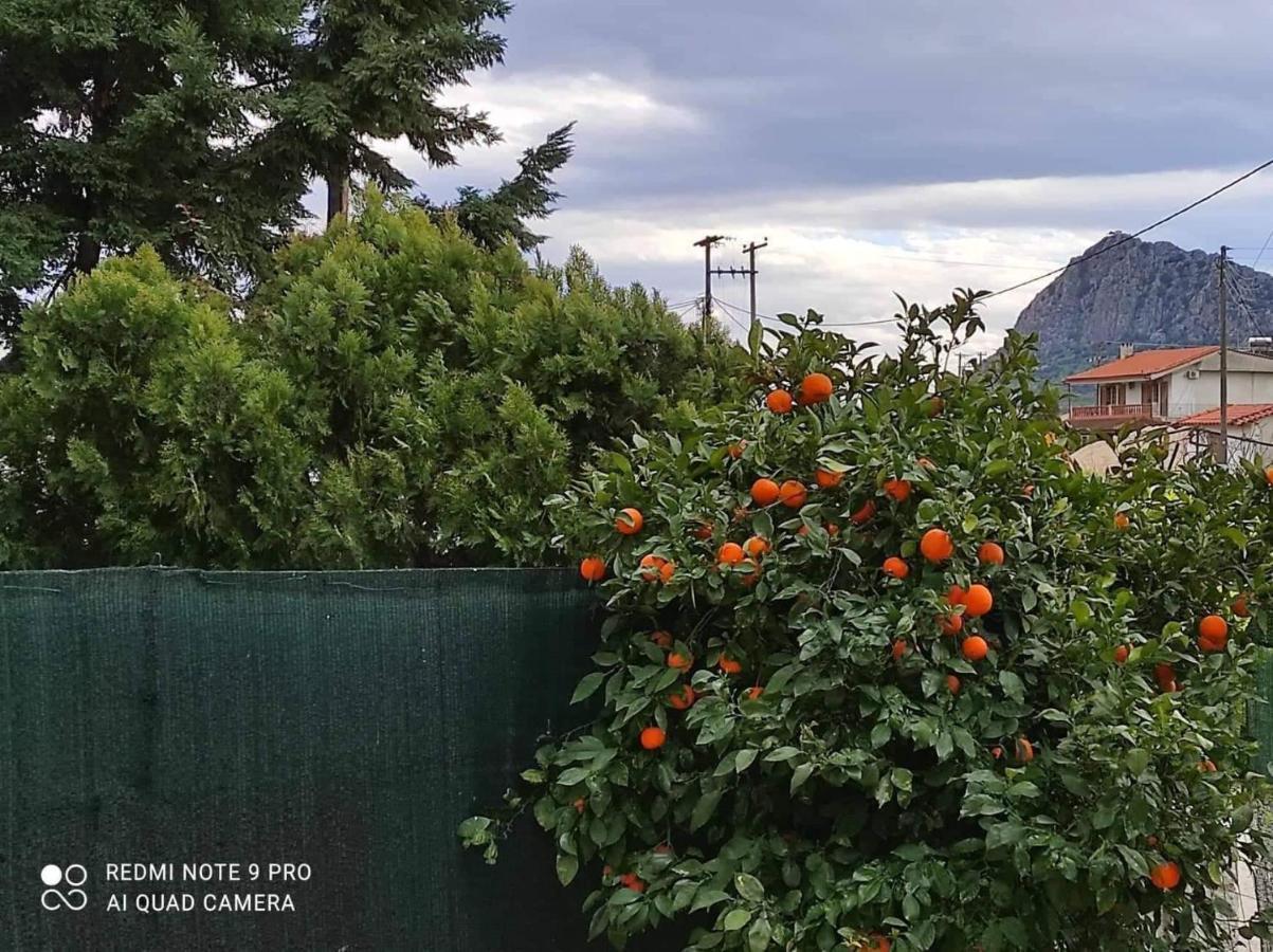 Nafplio Breeze Άνετη Διώροφη Κατοικία Από 4 Έως 9 Επισκέπτες Exteriör bild